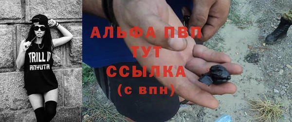 сатива Абинск